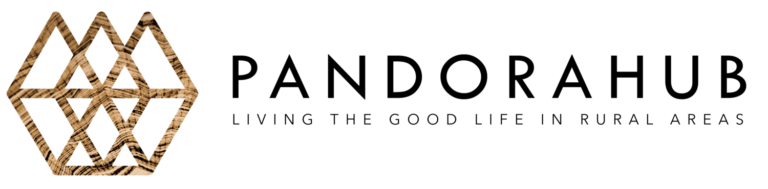 Logo+Pandorahub+horizontal+(1)